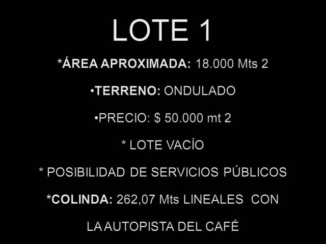 LOTE 1