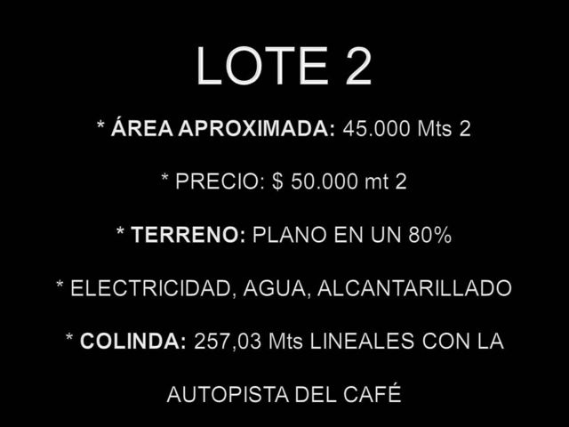 LOTE 2
