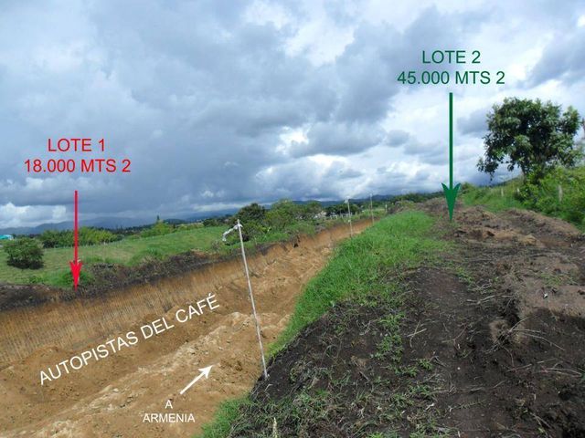 PASO DE LA VIA